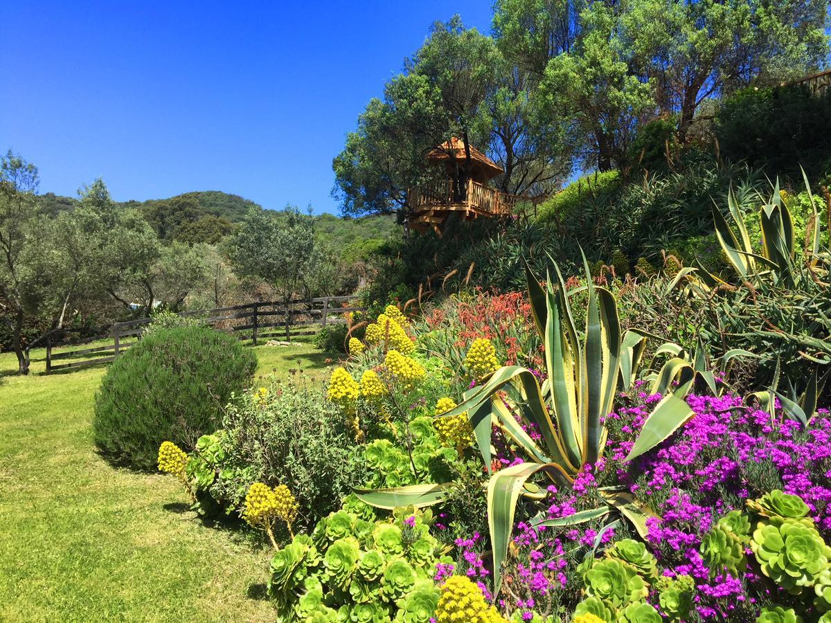 L'Hostellerie Du Moulin Des Oliviers Olmeto  Bagian luar foto